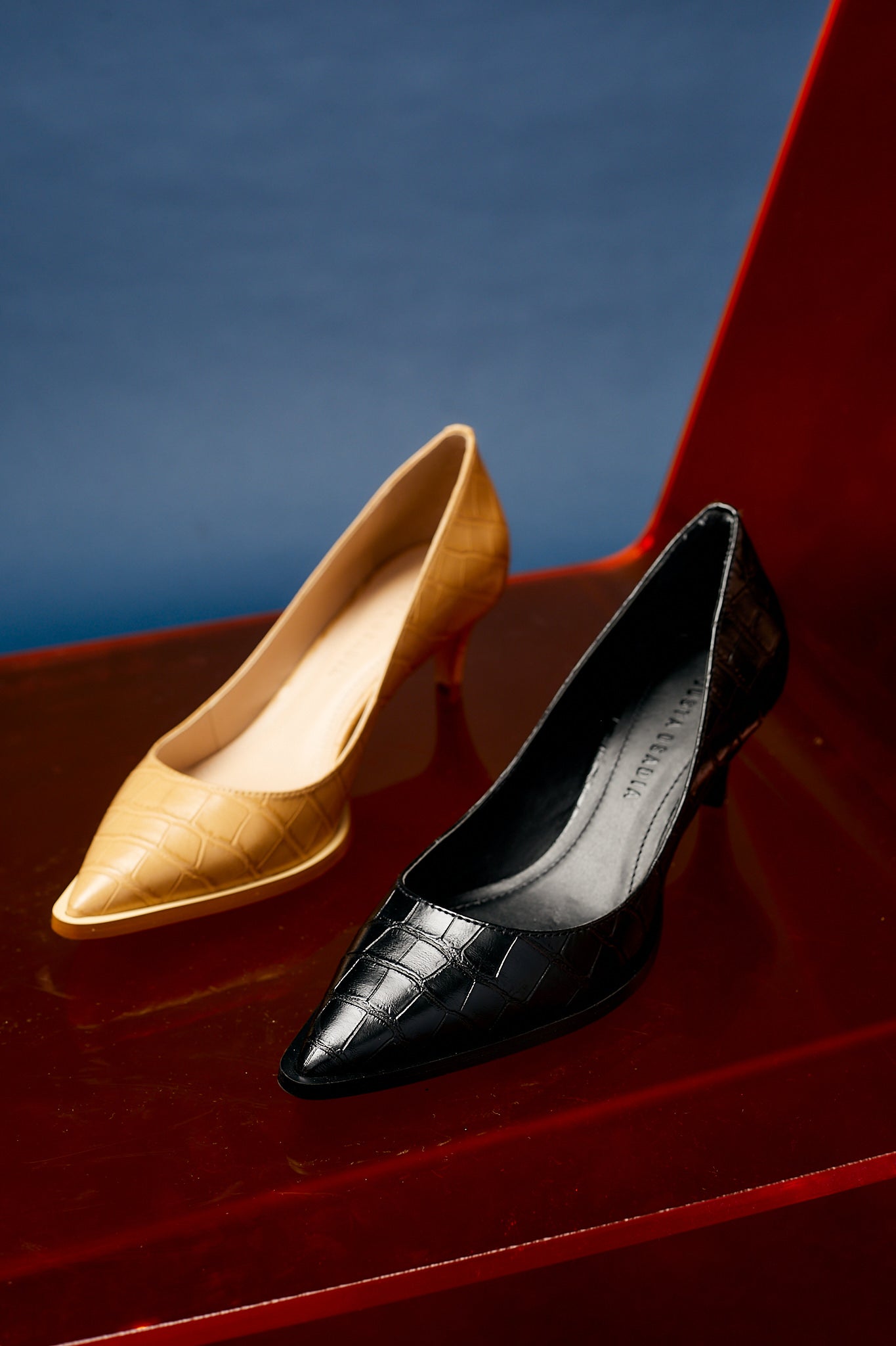 ZAPATO CALAIS - Justa Osadia - Justa Osadia - Fiesta