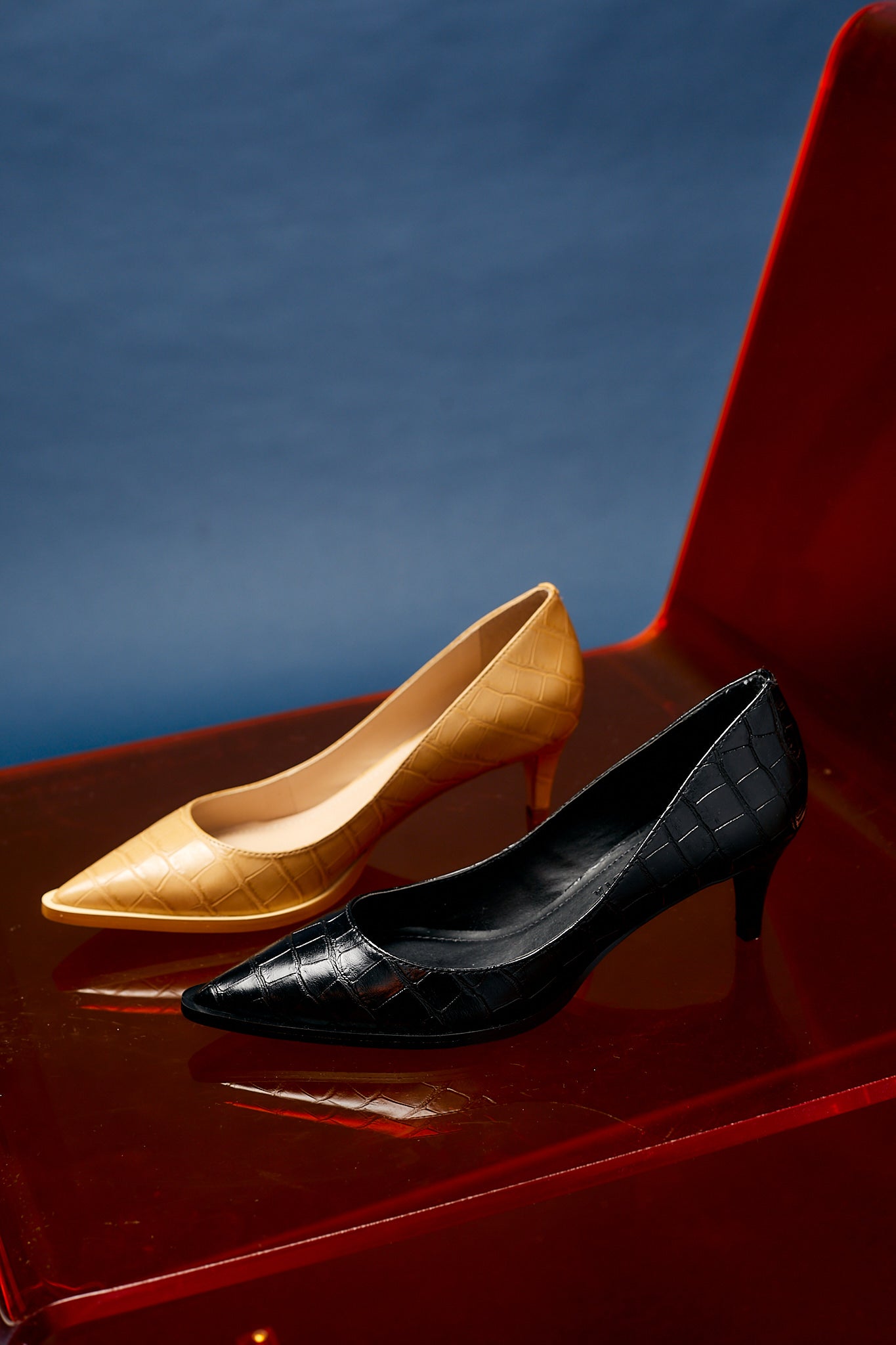 ZAPATO CALAIS - Justa Osadia - Justa Osadia - Fiesta