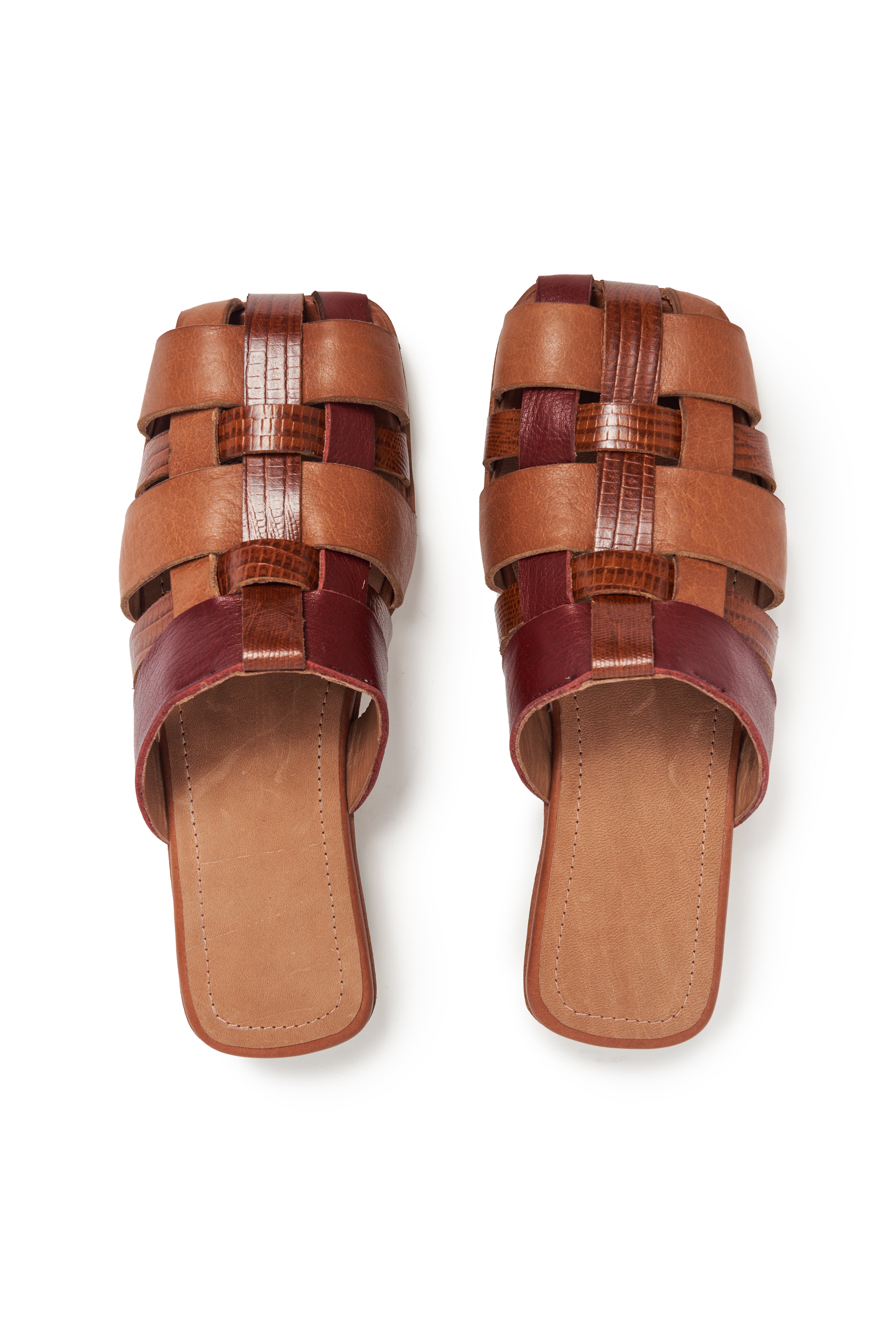 SLIPPER FOREST - Justa Osadia - Justa Osadia - Slipper