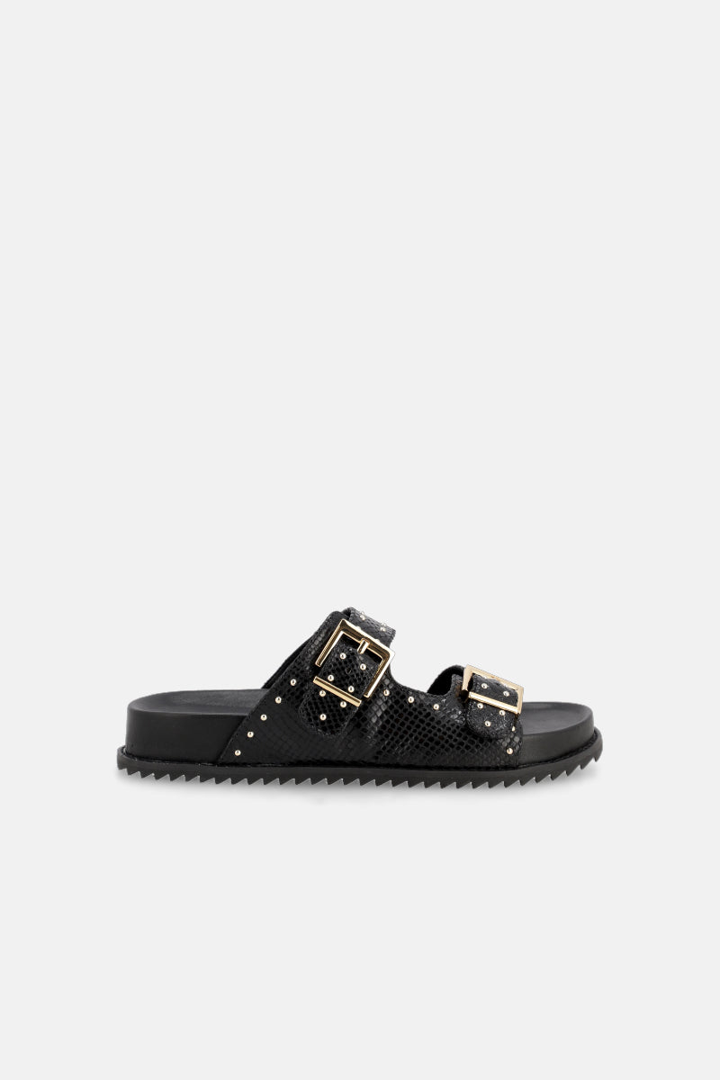 BIRKEN AVENT