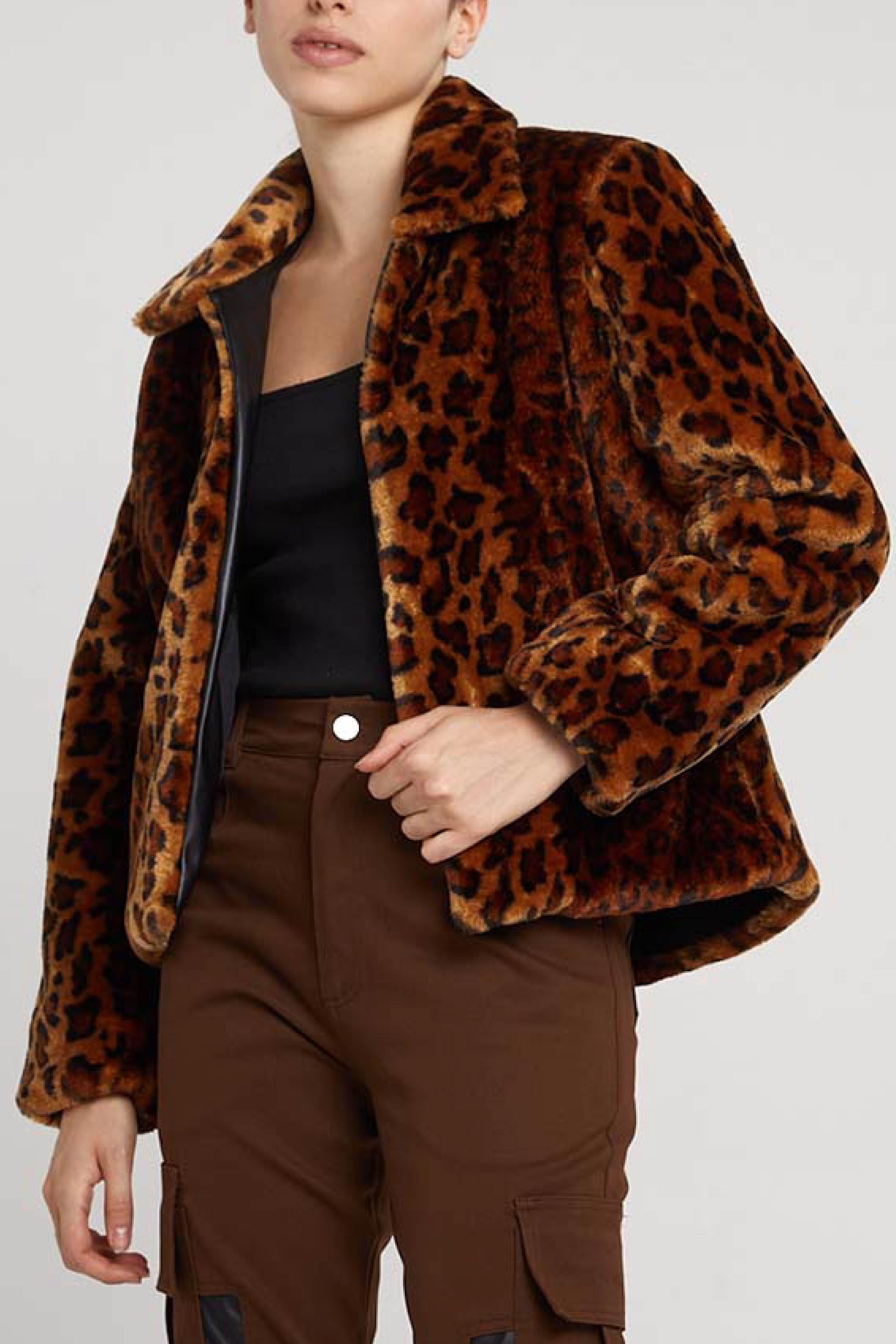 CAMPERA GUIER - Justa Osadia - Justa Osadia - Indumentaria