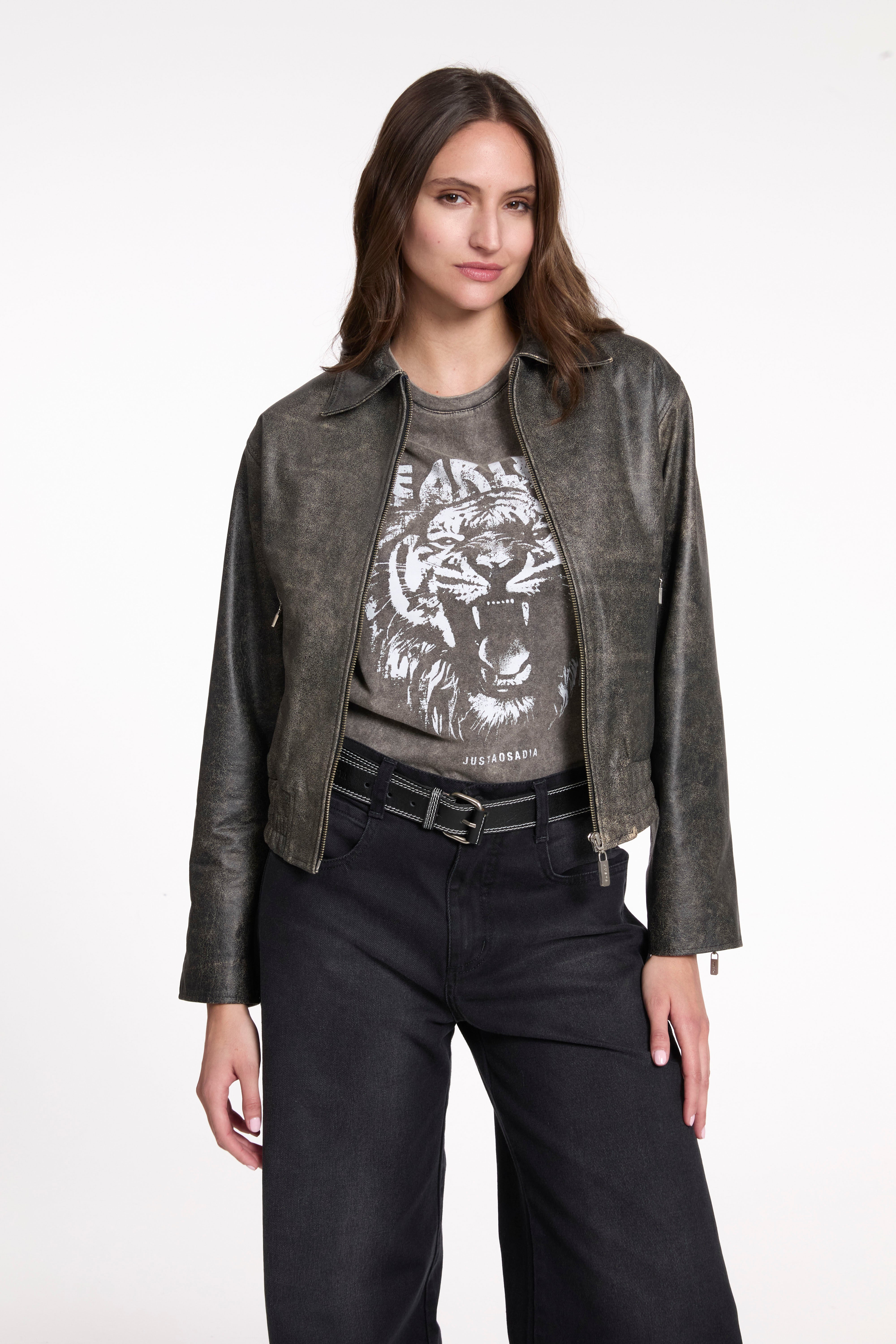 CAMPERA ROCK