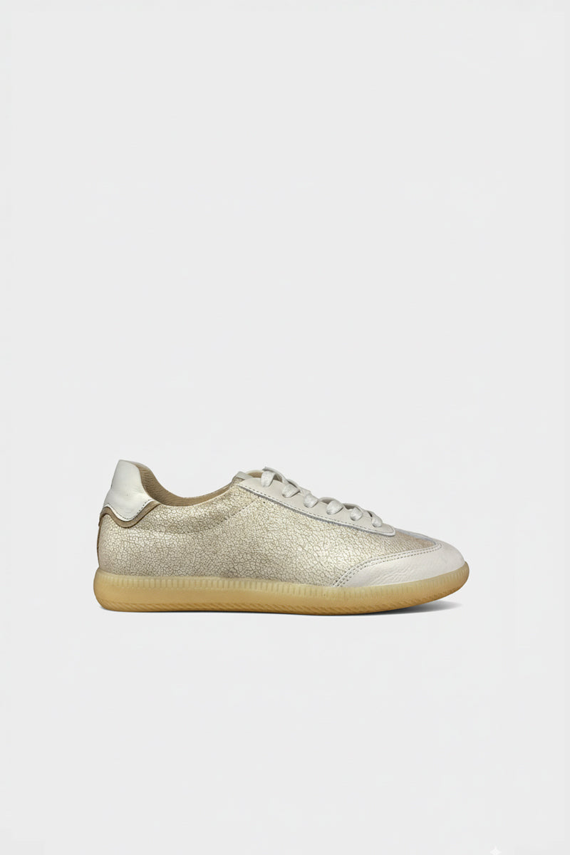 SNEAKER SAROM